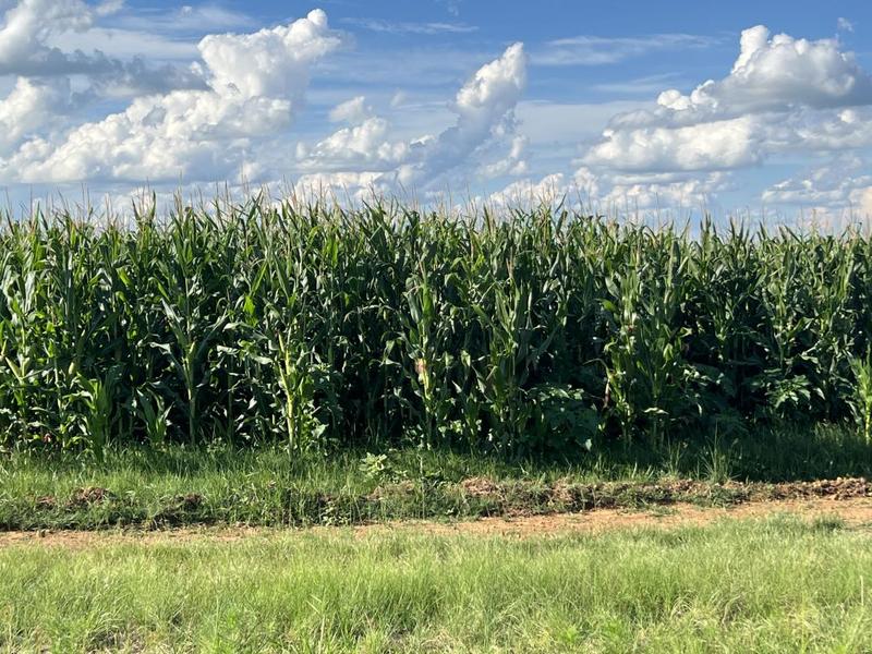 0 Bedroom Property for Sale in Bethlehem Rural Free State